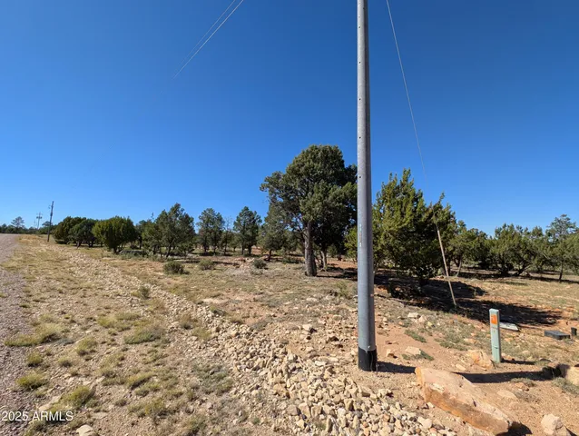 a view of a yard with a tree