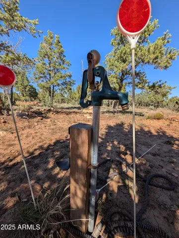 a view of a road with a yard