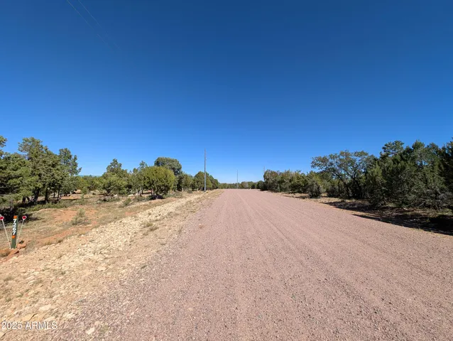 a vase of flowers sitting on a table