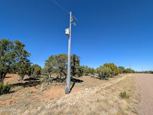 a view of a dry yard with trees
