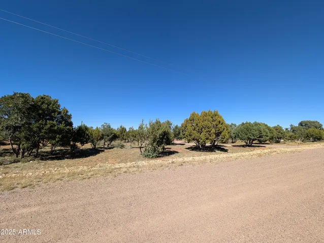 a view of a dry yard with trees