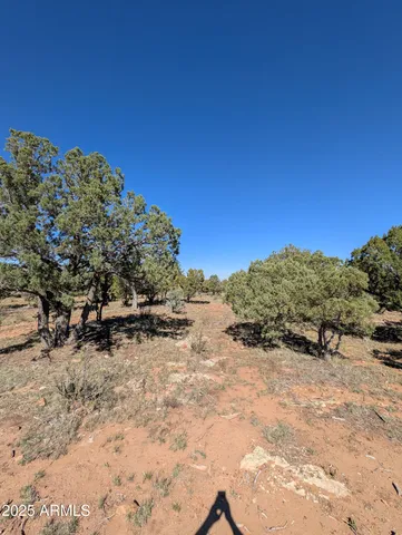 a view of a yard with a house