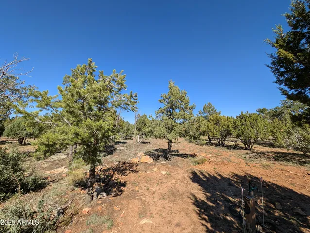 a view of a yard with a tree