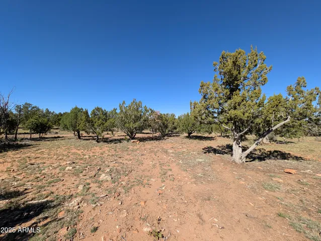 a view of a road with a tree in the background