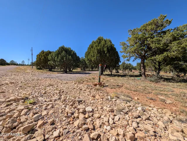 a street sign on a pole on a road