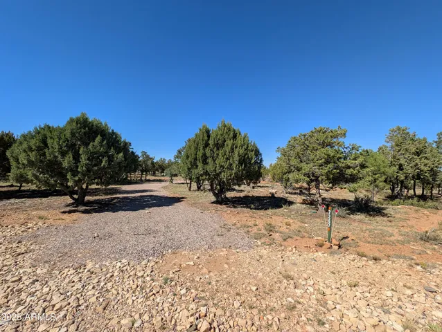 a view of a yard with a tree