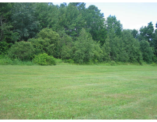8 Brooks Pond Road North Brookfield, MA 01535 - Photo 3 of 8 a view of a grassy field with trees