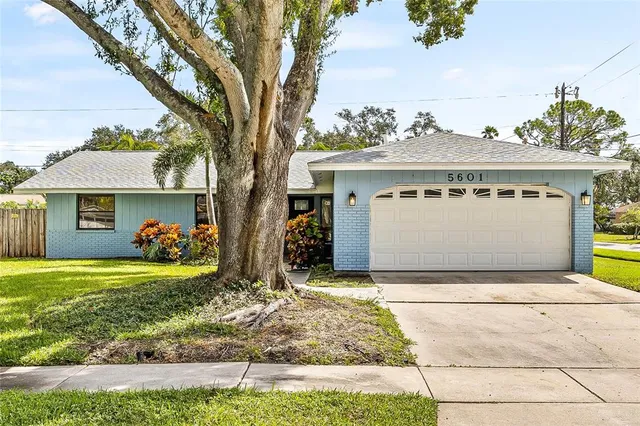 a view of a house with garden