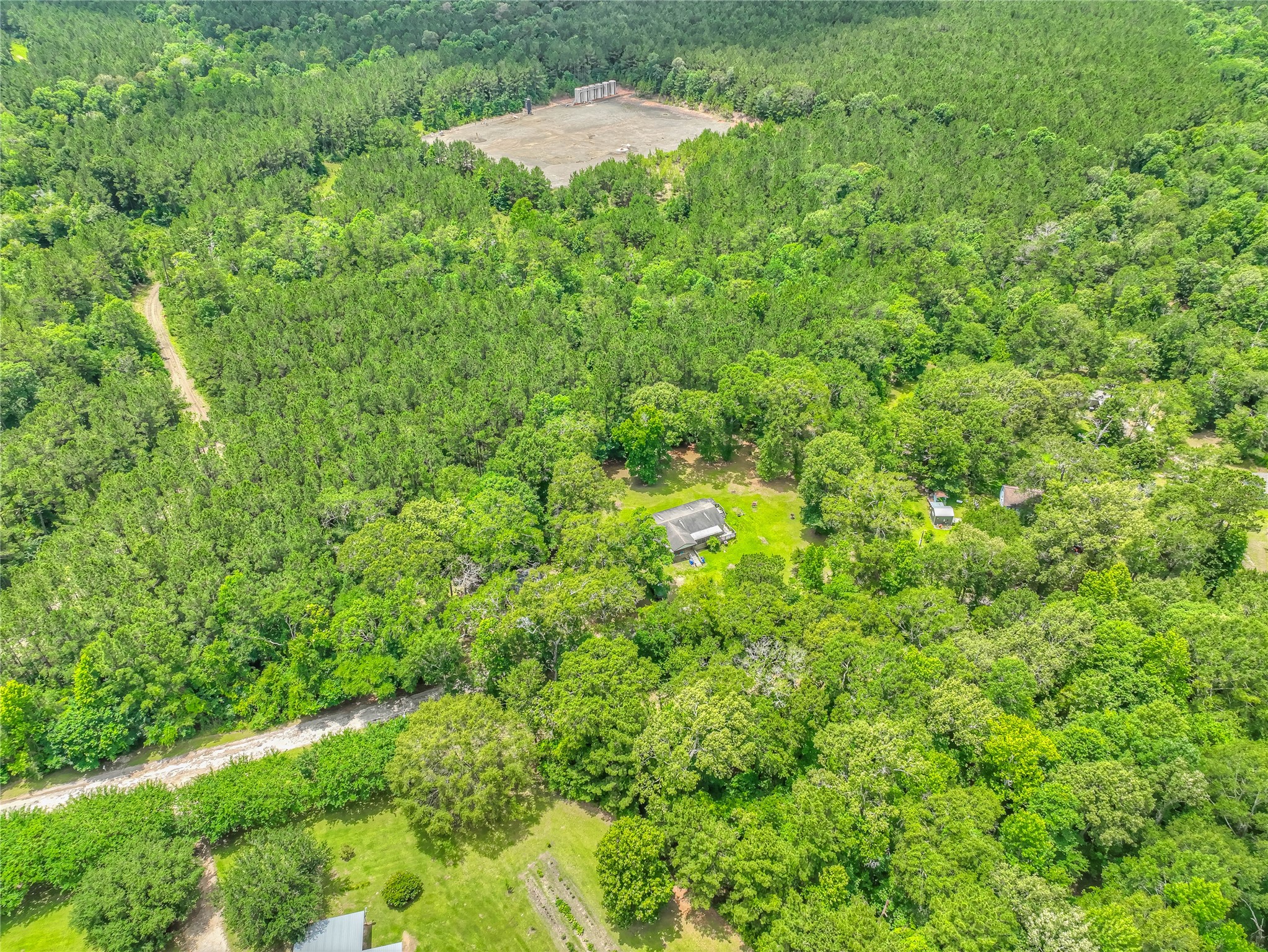 657 Parrish Road Livingston, TX 77351 - Photo 31 of 47 a view of a lush green forest