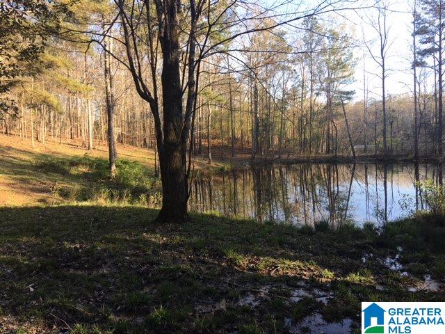 771 County Road 46 Montevallo, AL 35115 - Photo 19 of 21