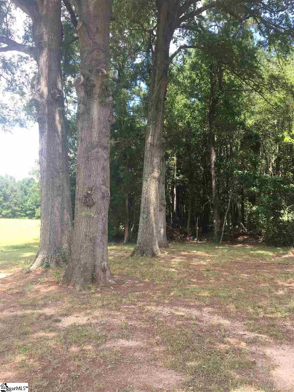 9653 Bush River Road Kinards, SC 29355 - Photo 12 of 16 Gallery Image 12