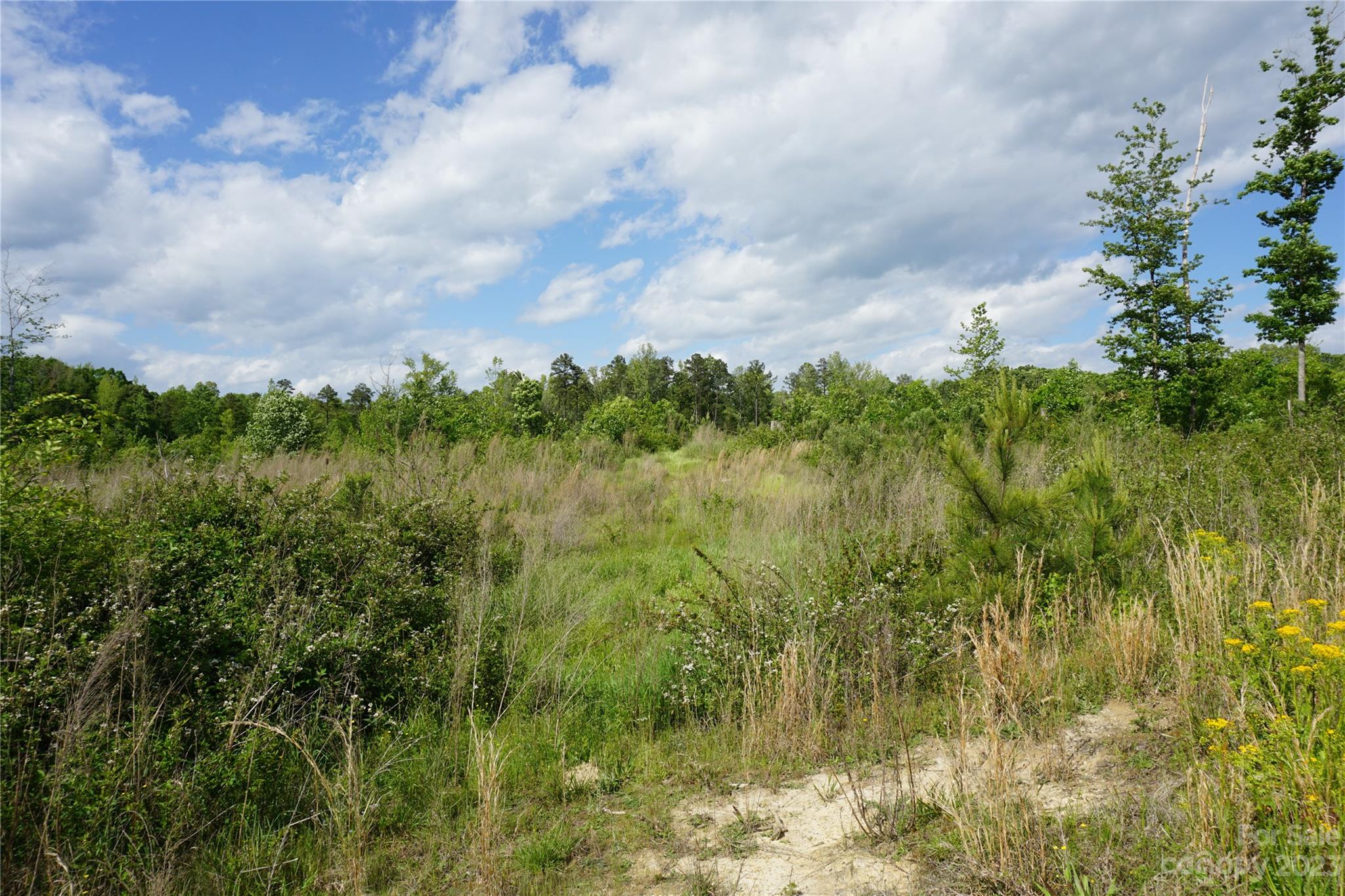 10-ac East Old Limestone Road York, SC 29745 - Photo 1 of 5 Gallery Image 1