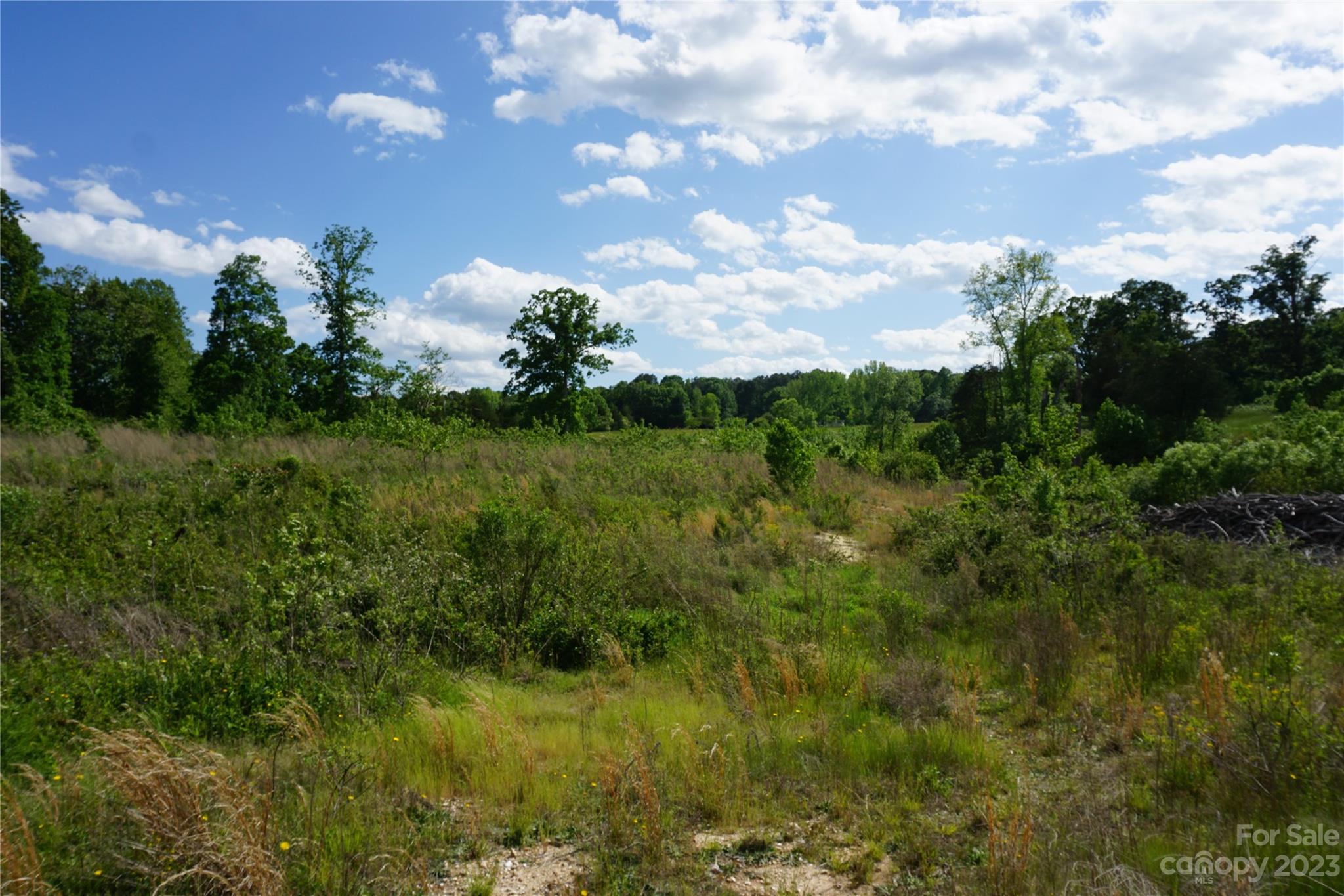 10-ac East Old Limestone Road York, SC 29745 - Photo 2 of 5 Gallery Image 2