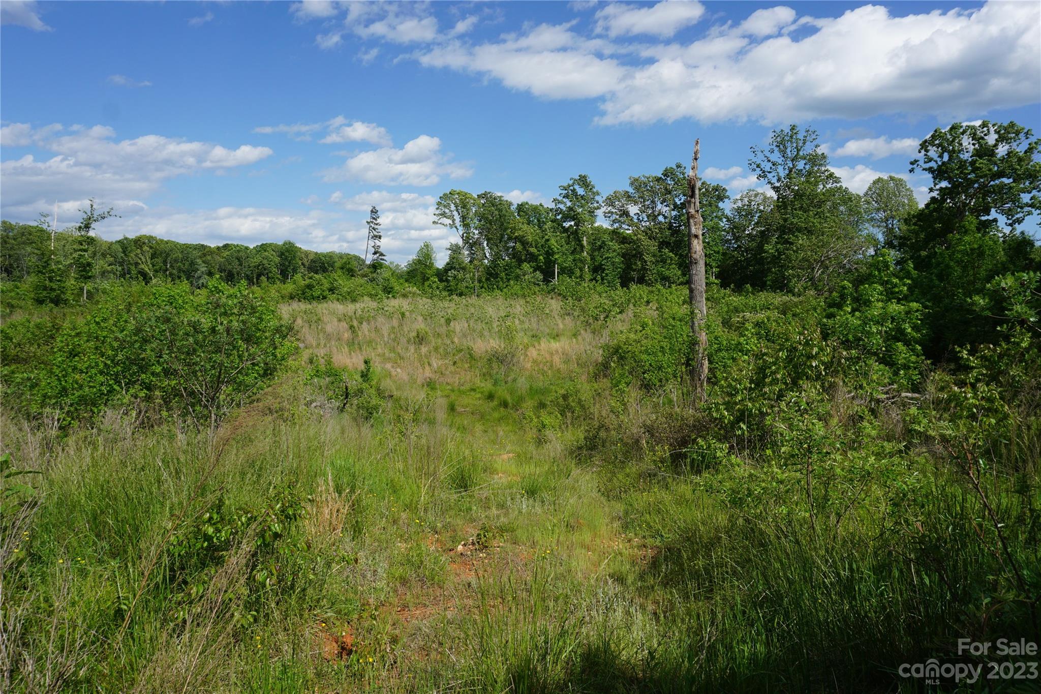 10-ac East Old Limestone Road York, SC 29745 - Photo 4 of 5 Gallery Image 4