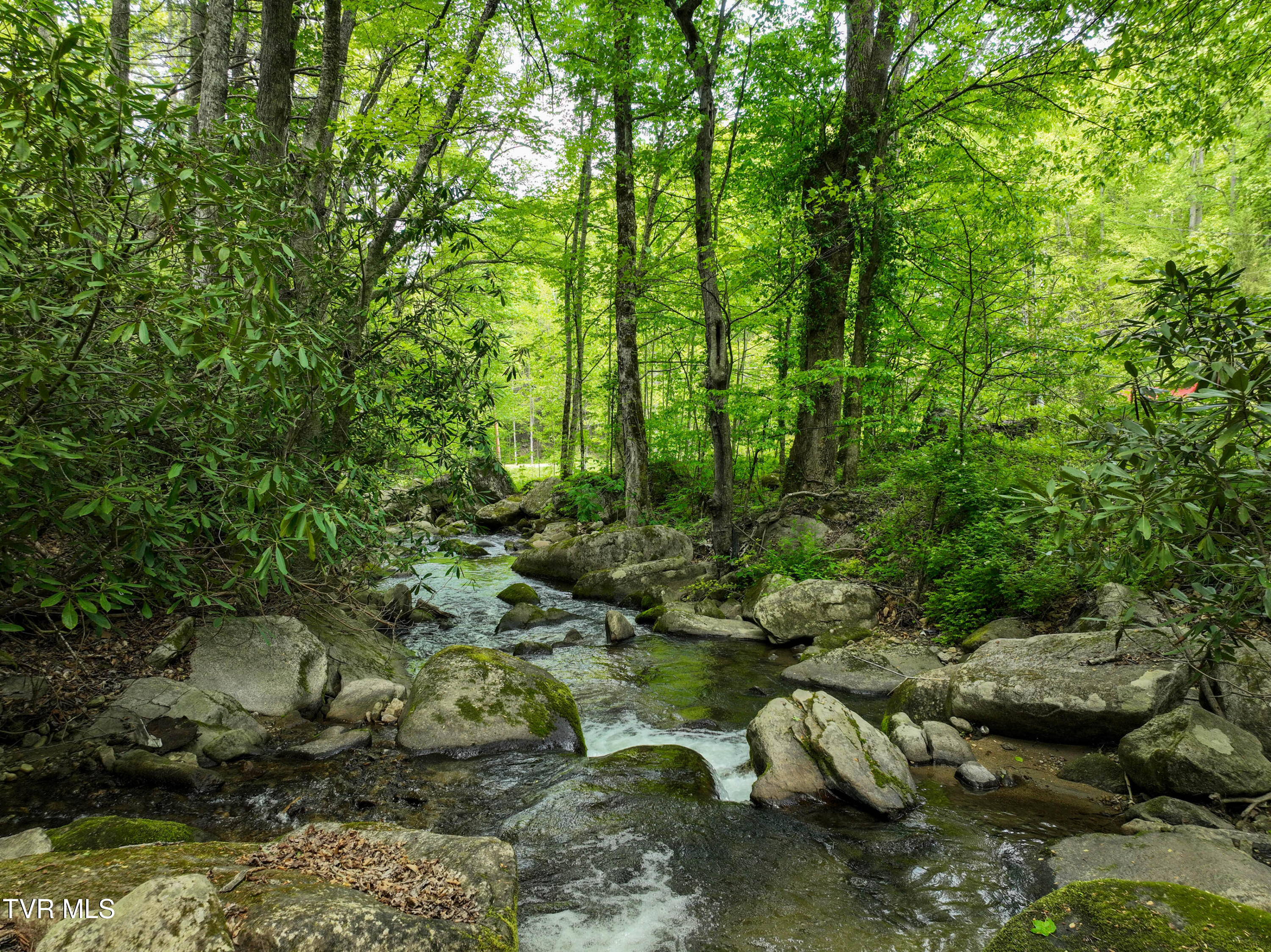 275 Tiger Creek Road Roan Mountain, TN 37687 - Photo 3 of 104 275 Tiger Creek Rd Drone WALLACE-30
