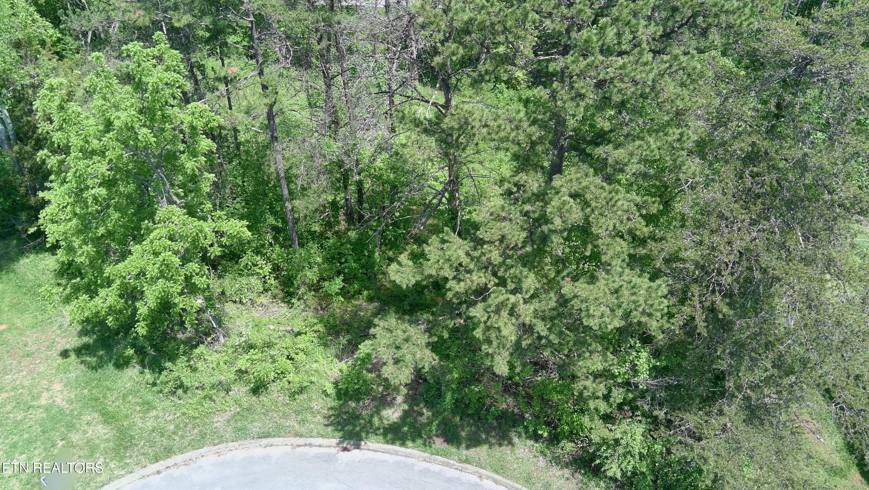 10 Antler Ridge Dandridge, TN 37725 - Photo 2 of 7 Antler Ridge Aerial 2