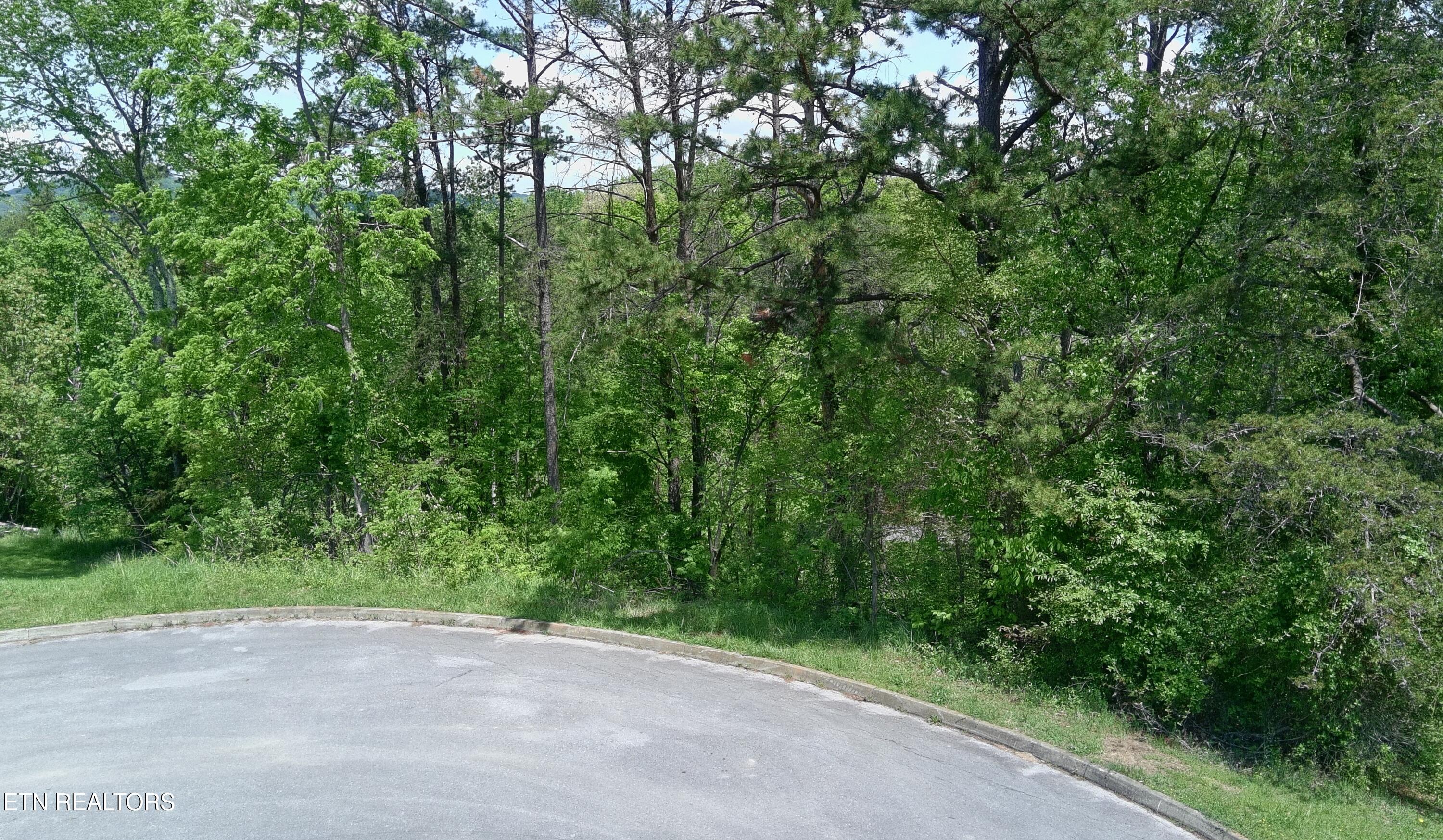 10 Antler Ridge Dandridge, TN 37725 - Photo 4 of 7 Antler Ridge Aerial 4