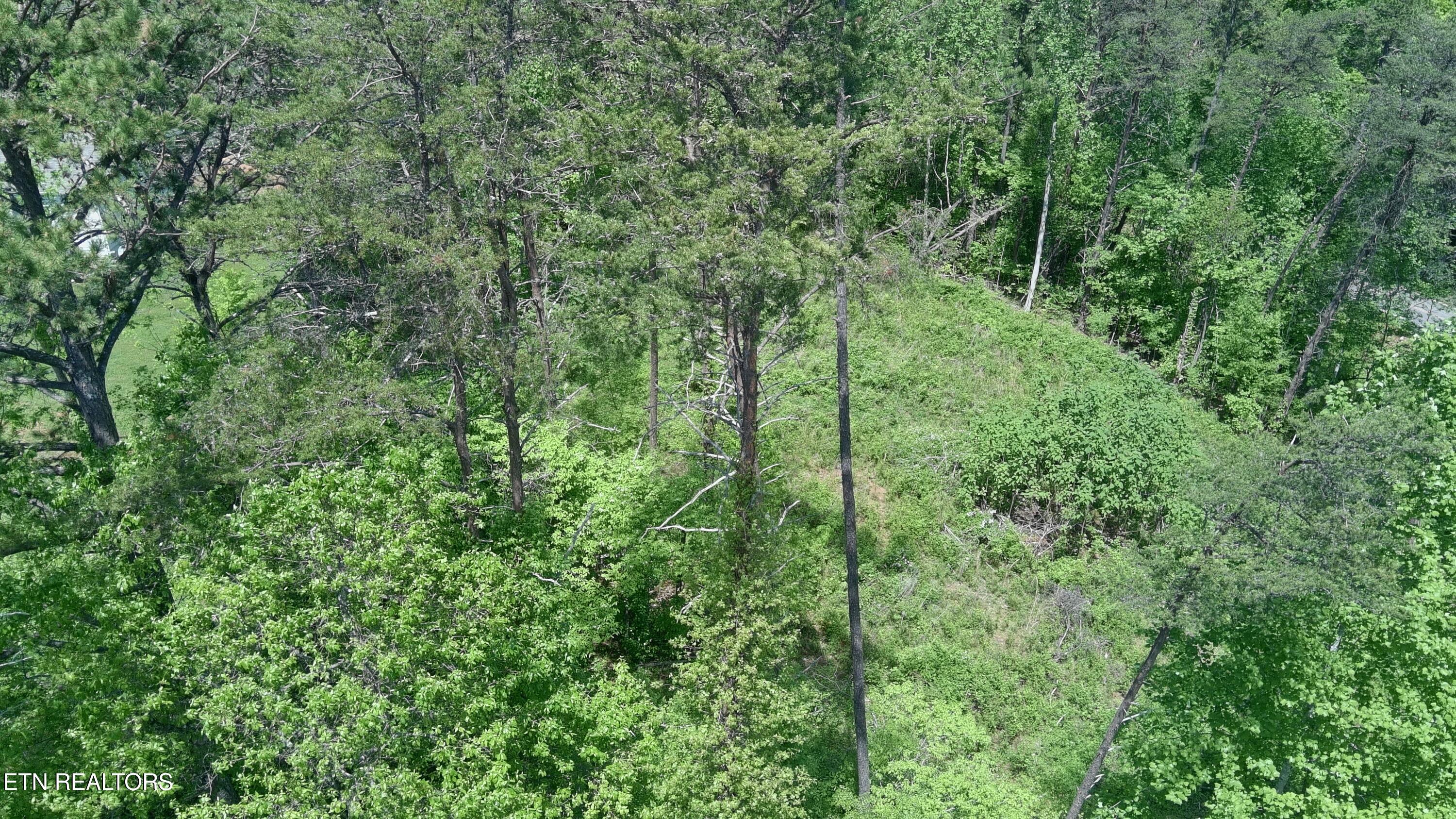 10 Antler Ridge Dandridge, TN 37725 - Photo 5 of 7 Antler Ridge Aerial 5