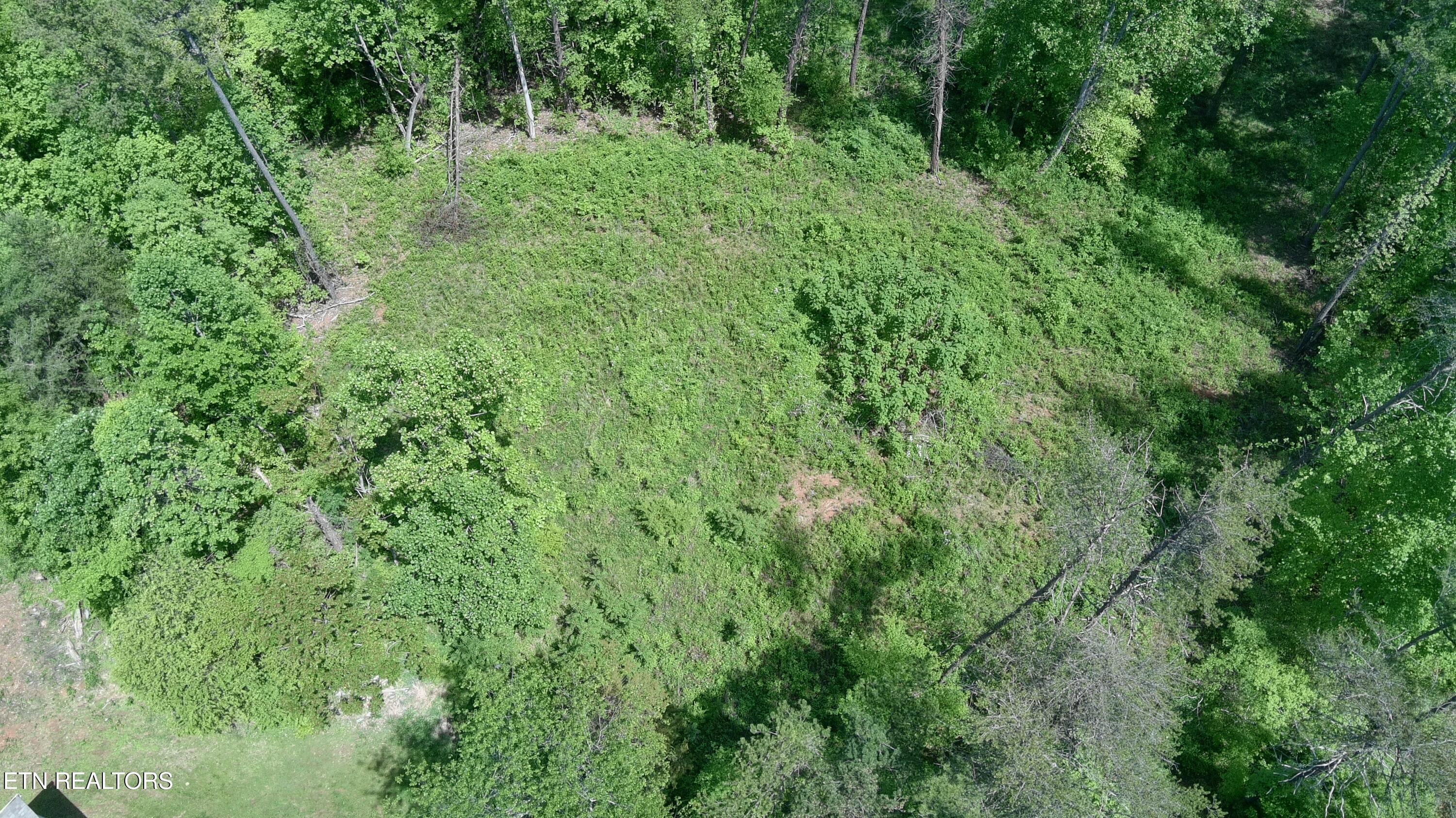 10 Antler Ridge Dandridge, TN 37725 - Photo 6 of 7 Antler Ridge Aerial 6