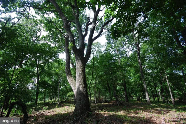 $118,000 | Lot 70-71 Mill Mountain Road, Romney, WV 26757
