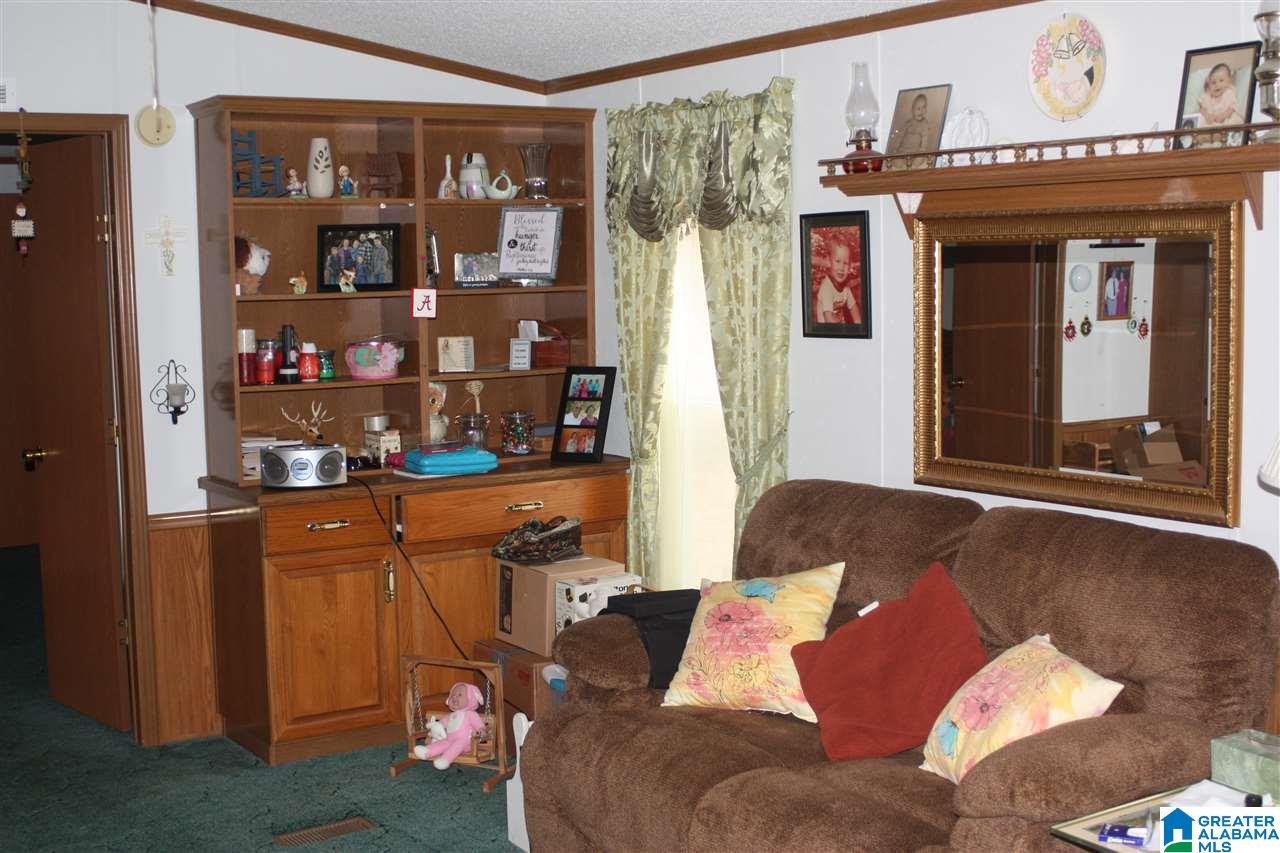 6507 New Liberty Road Jacksonville, AL 36265 - Photo 10 of 10