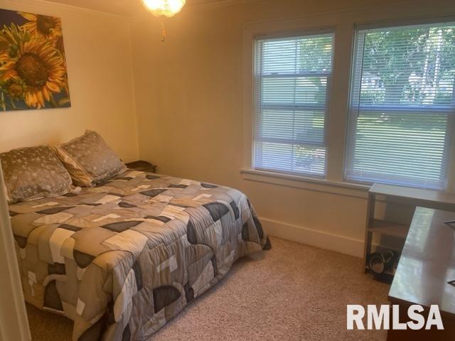 307 North 5th Street Dunlap, IL 61525 - Photo 18 of 34