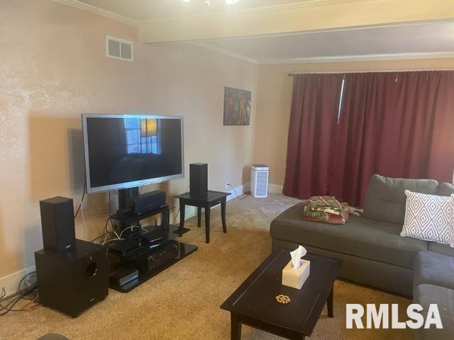 307 North 5th Street Dunlap, IL 61525 - Photo 9 of 34