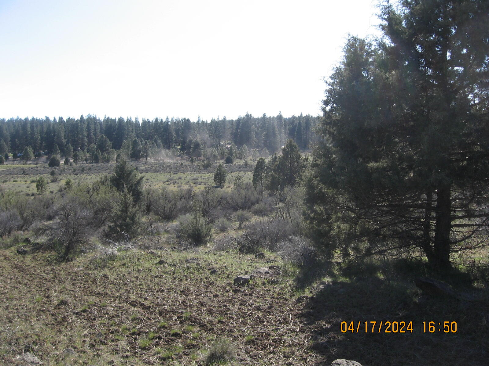 Brant Drive Bonanza, OR 97623 - Photo 1 of 25 1