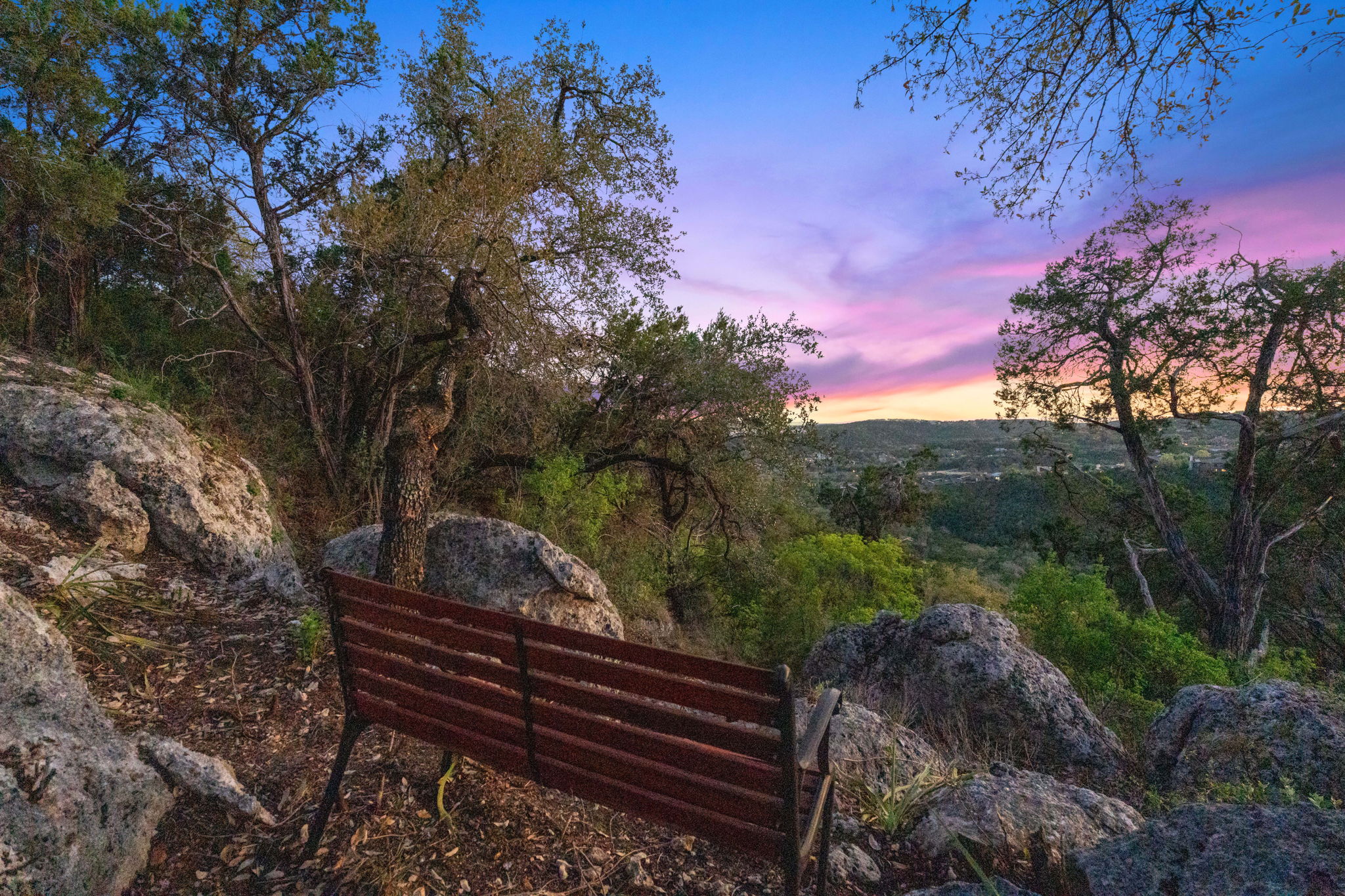7801 Image Cove Austin, TX 78730 - Photo 3 of 26 a view of a bench in a garden