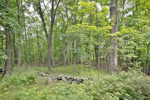 a backyard of a house with lots of green space
