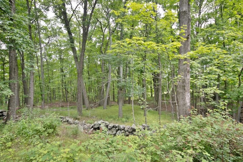 107 Lane Gate Road Cold Spring, NY 10516 - Photo 37 of 45 a backyard of a house with lots of green space
