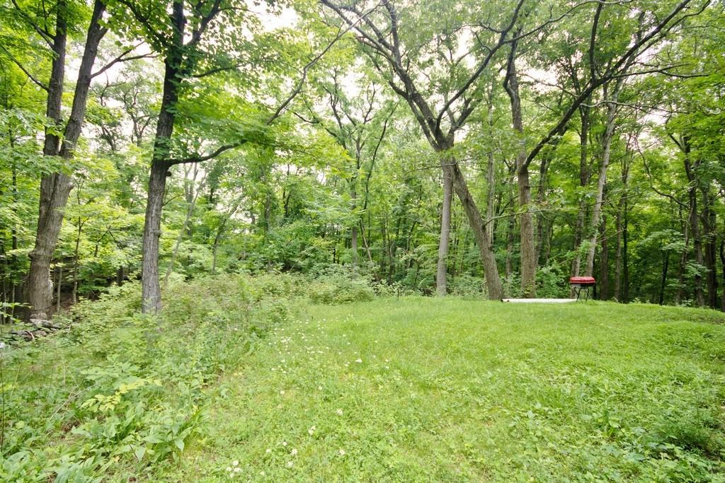 107 Lane Gate Road Cold Spring, NY 10516 - Photo 39 of 45 a view of a grassy field with trees in the background