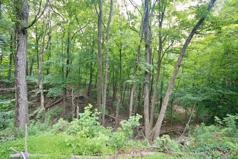 a view of outdoor space and garden