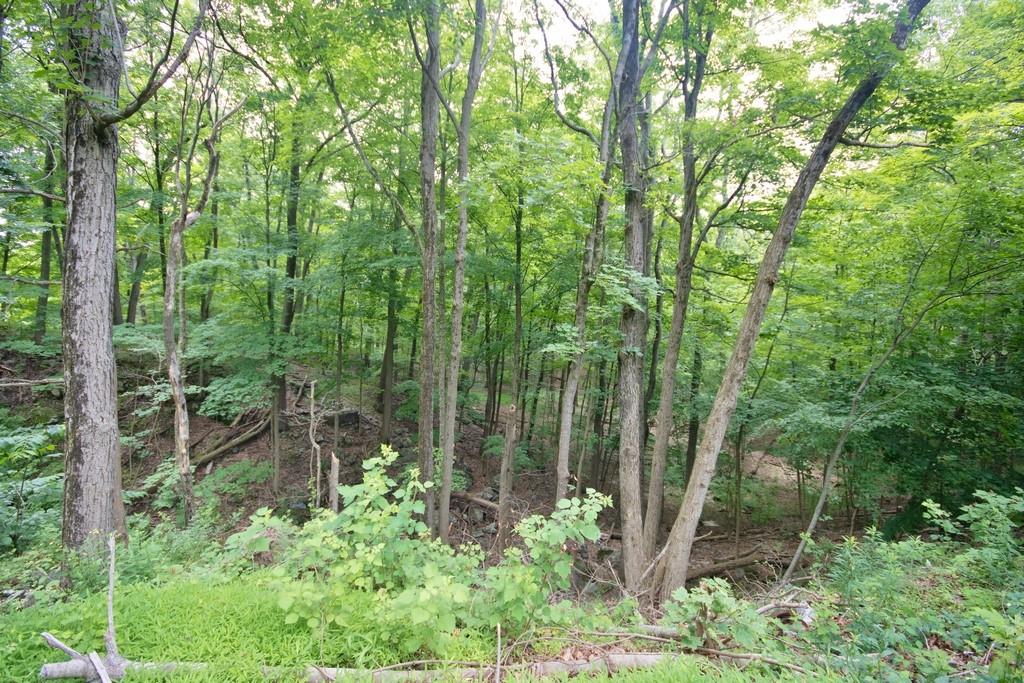 107 Lane Gate Road Cold Spring, NY 10516 - Photo 4 of 45 a view of outdoor space and garden