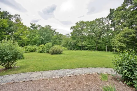 a view of a field with a trees in the background