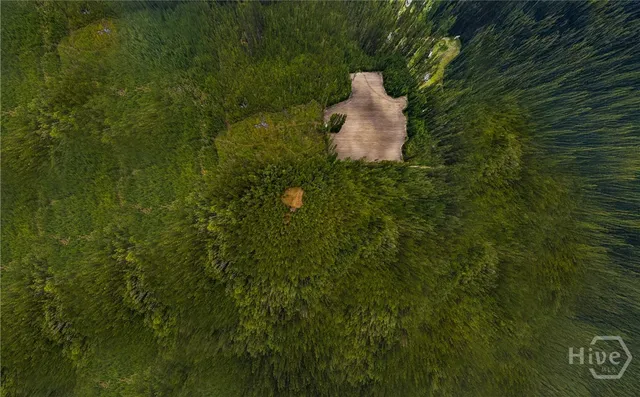 $240,000 | 2901 Old Dixie Highway South, Springfield, GA 31329