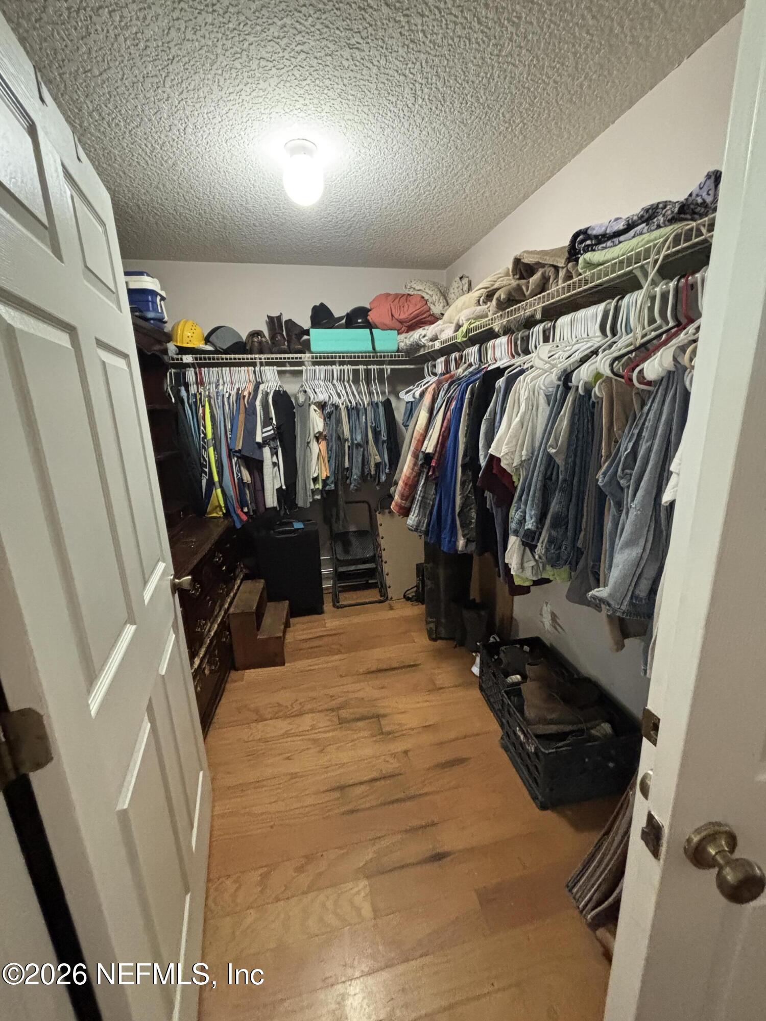 25 Currant Avenue Middleburg, FL 32068 - Photo 19 of 33 primary walk in closet