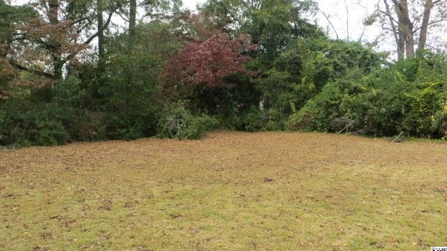 812 Sandy Bluff Road Mullins, SC 29574 - Photo 25 of 25 Gallery Image 25