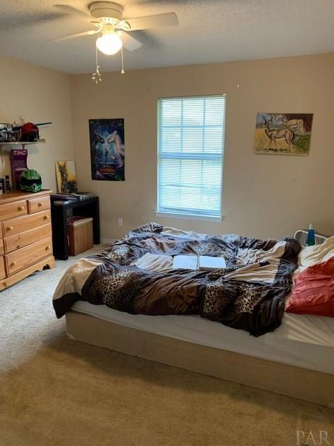 2912 Molino Road Molino, FL 32577 - Photo 14 of 28 Gallery Image 14