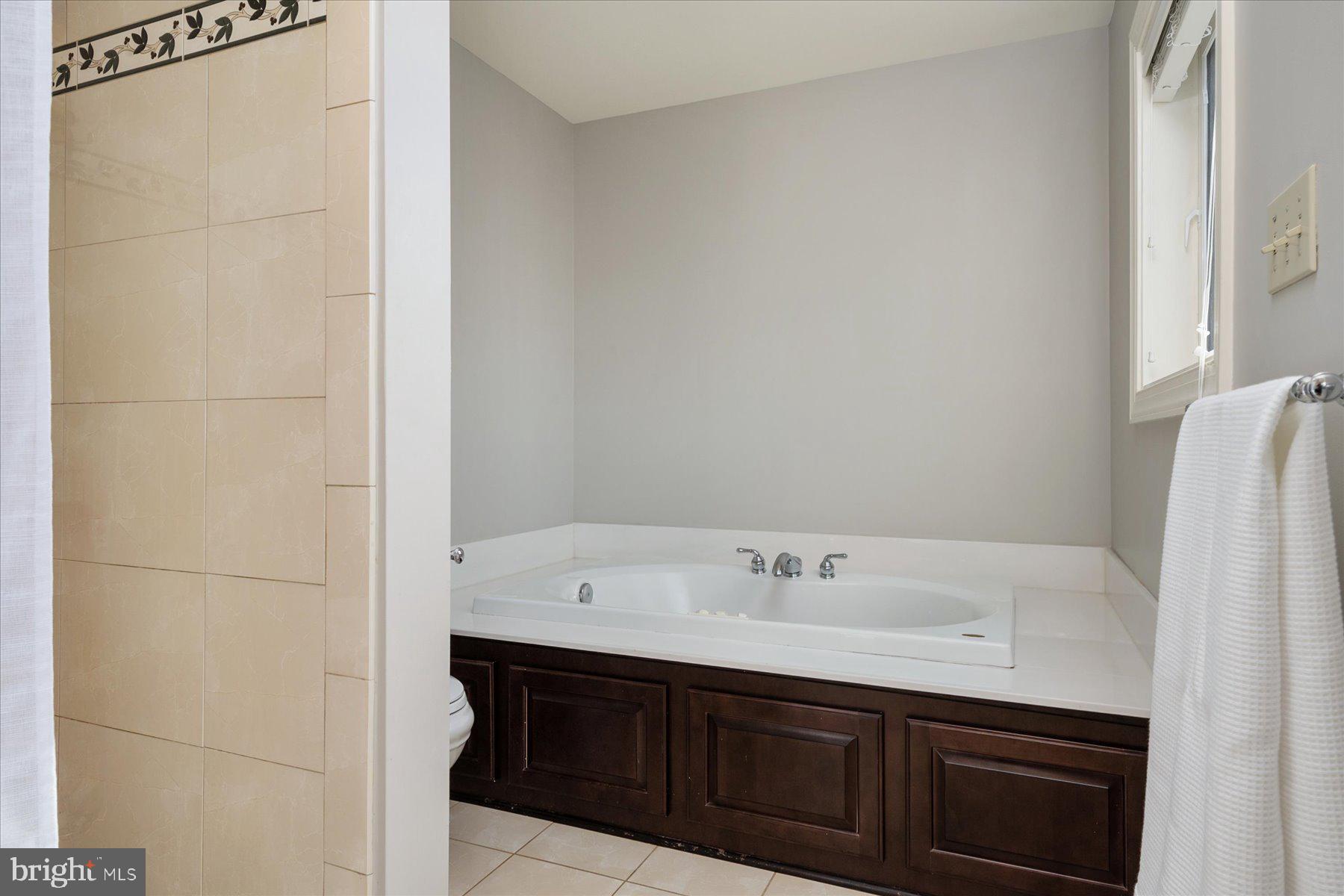 1323 Harbor Road Annapolis, MD 21403 - Photo 27 of 50 Soaking tub