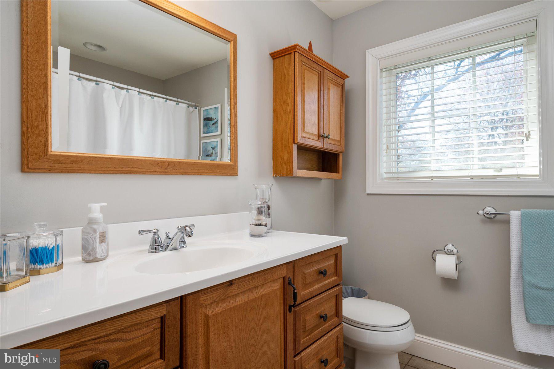 1323 Harbor Road Annapolis, MD 21403 - Photo 31 of 50 Full Bath