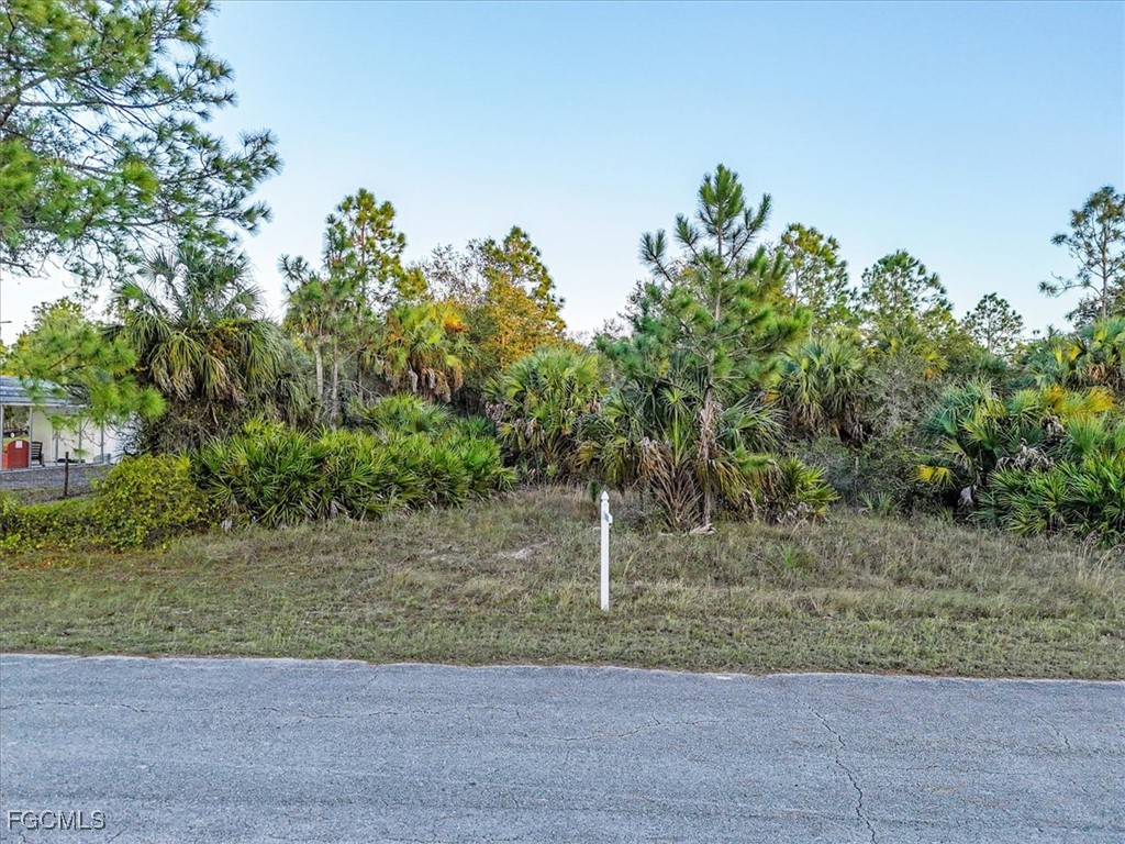 2310 Louis Avenue Alva, FL 33920 - Photo 9 of 32