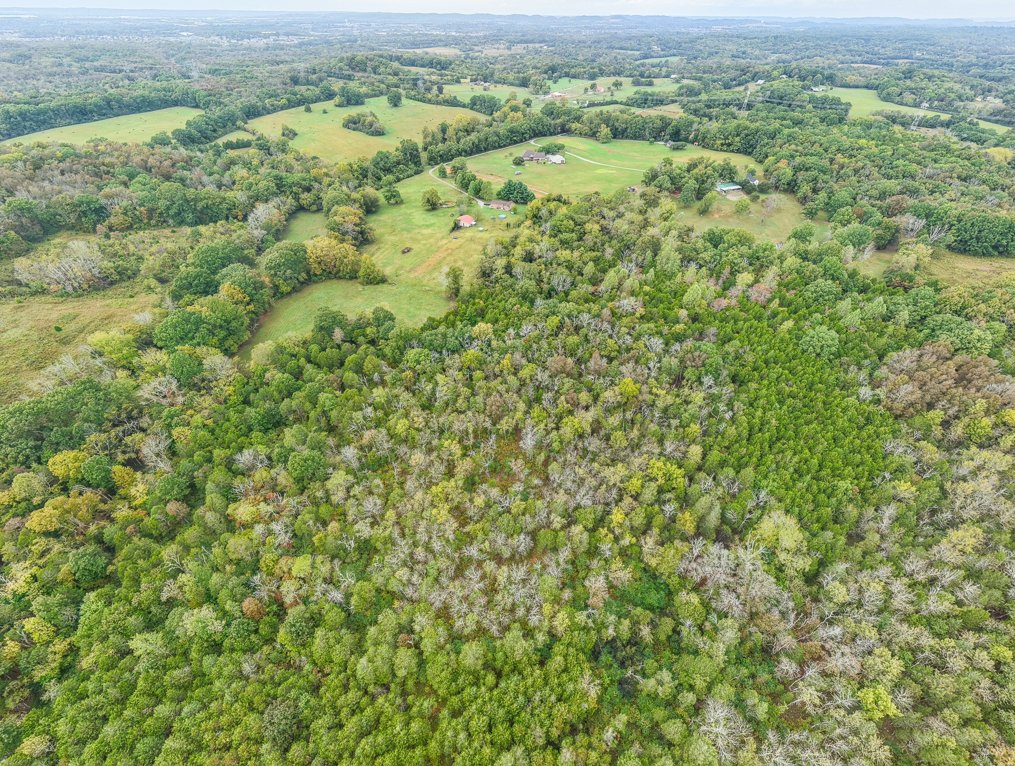 0 Pickles Lane Spring Hill, TN 37174 - Photo 12 of 21 an aerial view of residential houses with outdoor space and trees