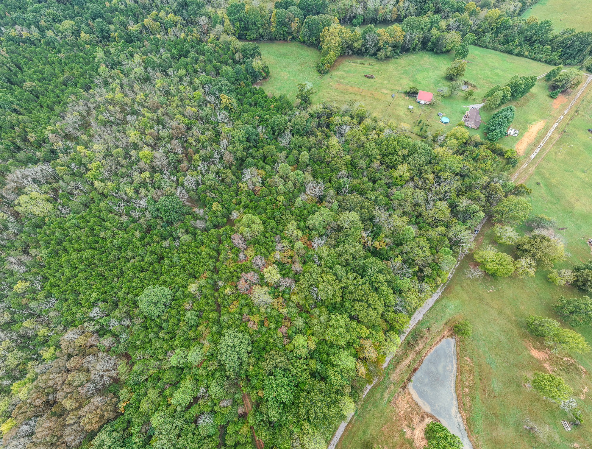 0 Pickles Lane Spring Hill, TN 37174 - Photo 13 of 21 a view of a forest with a tree