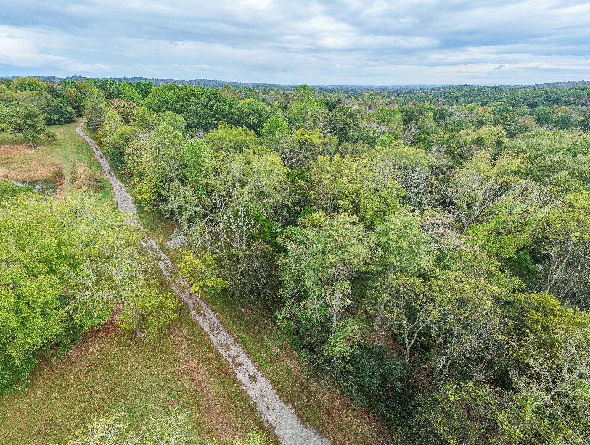 0 Pickles Lane Spring Hill, TN 37174 - Photo 17 of 21 a view of a yard with an outdoor space