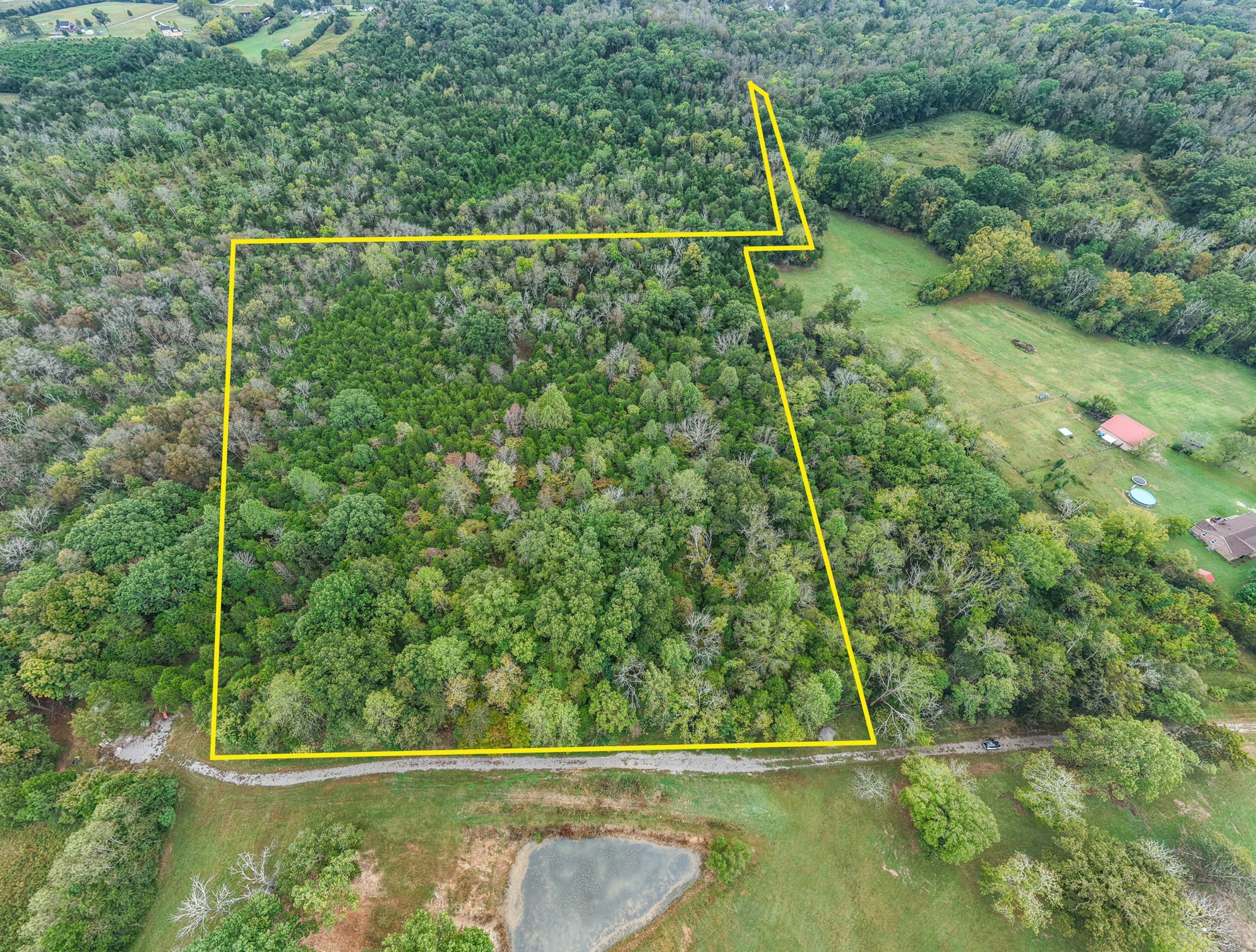 0 Pickles Lane Spring Hill, TN 37174 - Photo 2 of 21 a view of a forest