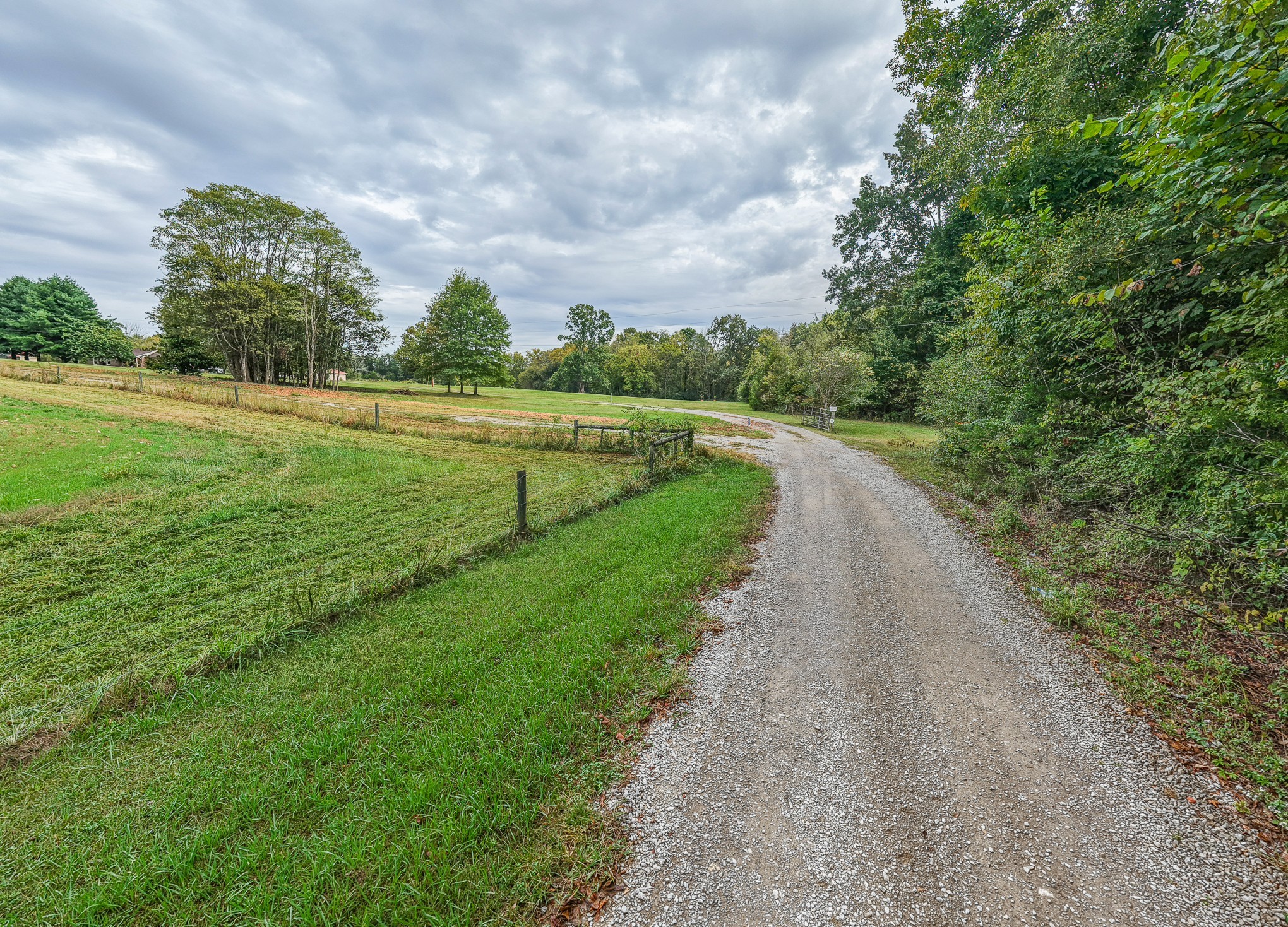 0 Pickles Lane Spring Hill, TN 37174 - Photo 3 of 21 a view of a street with a yard and large trees