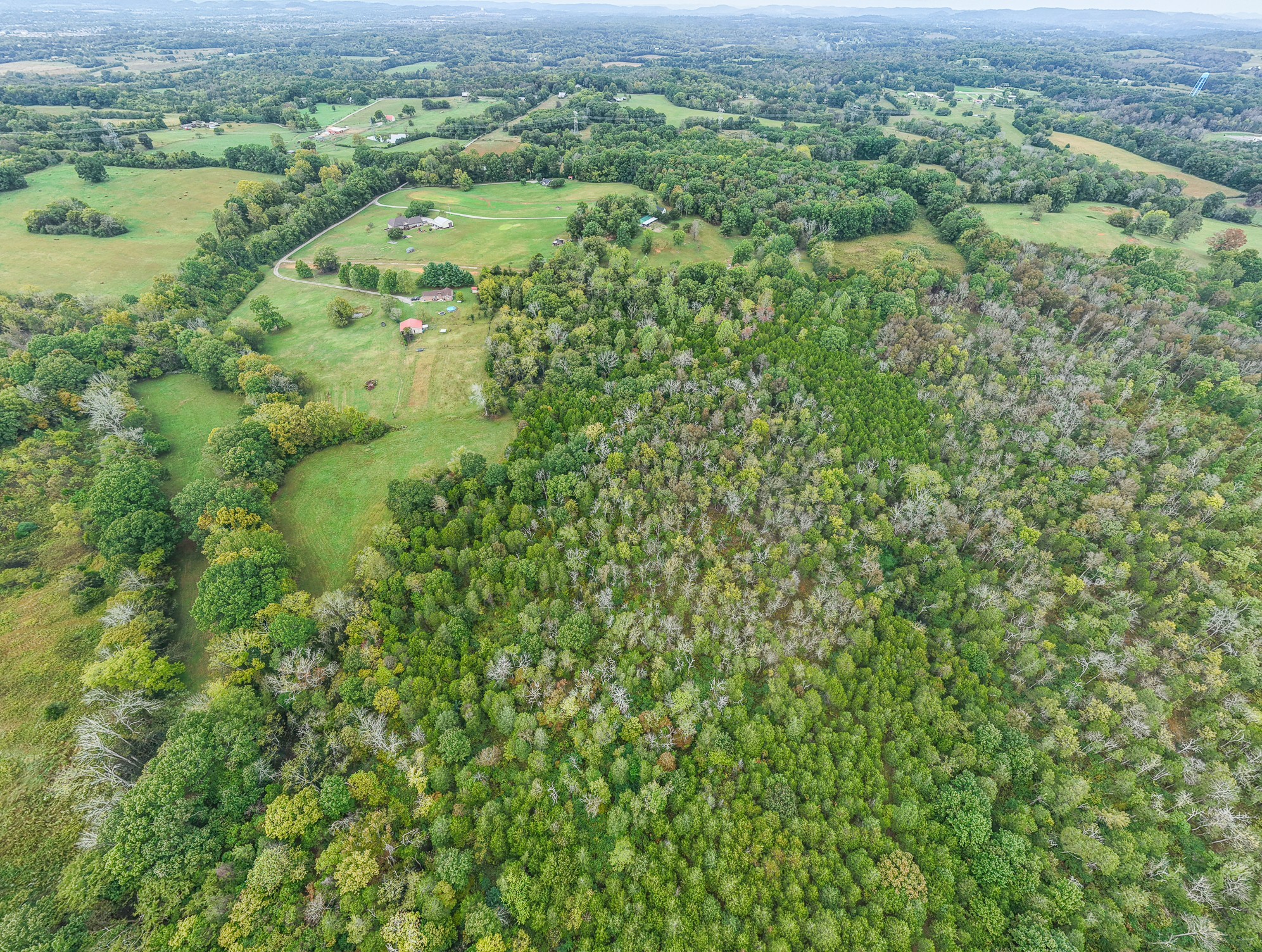 0 Pickles Lane Spring Hill, TN 37174 - Photo 8 of 21 an aerial view of residential houses with outdoor space and trees