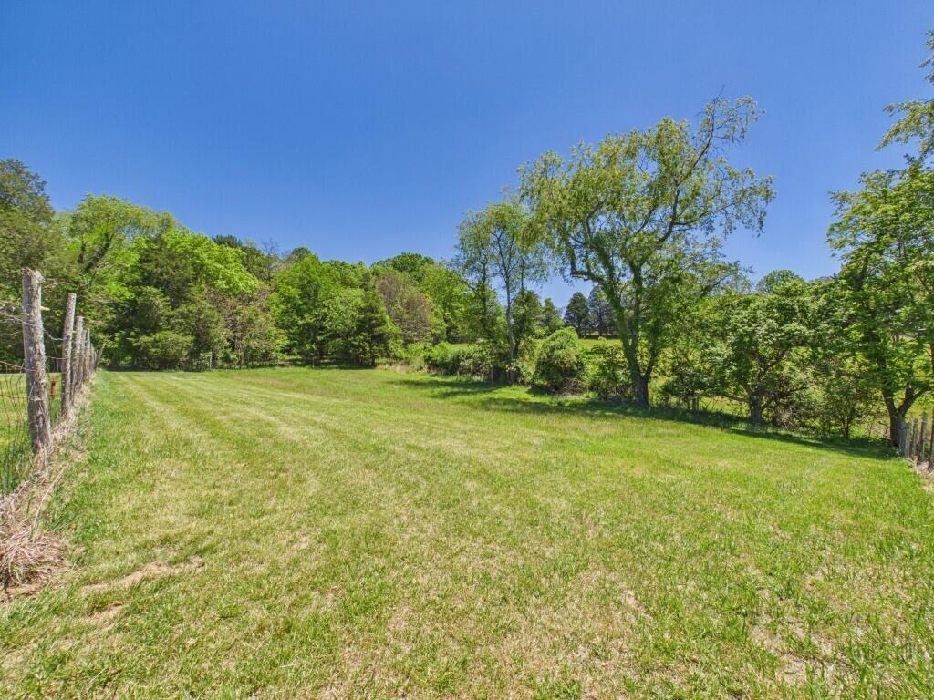 404 Baker Island Road Max Meadows, VA 24360 - Photo 18 of 66 a view of a field with an trees