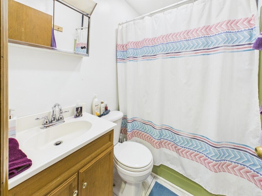 404 Baker Island Road Max Meadows, VA 24360 - Photo 38 of 66 a bathroom with a sink a toilet and a mirror